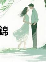 流年似錦
