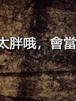 不可以吃太胖哦，會當豬吃掉的