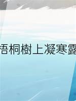 梧桐樹上凝寒露